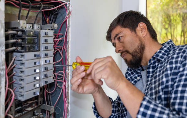 Best Affordable Electrician  in Lake Linden, MI
